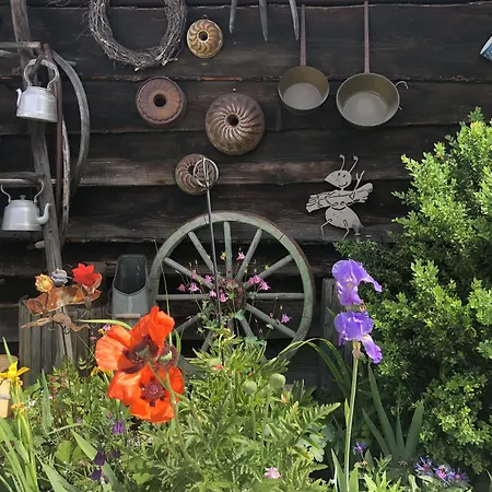 Lägenhet Hannas Alpengruss & Seefeld in Tirol