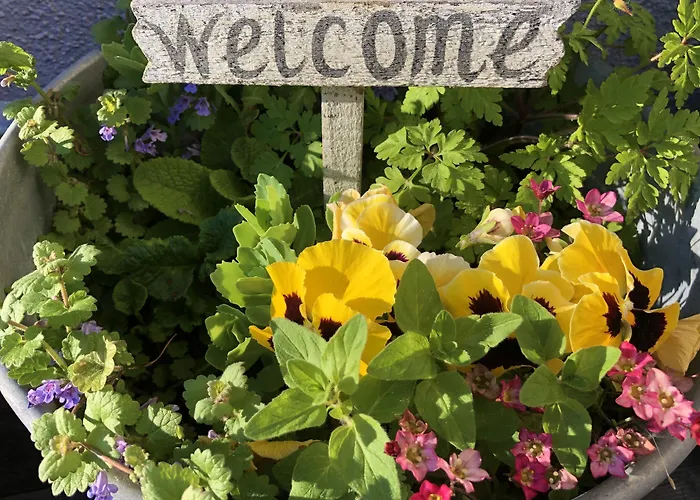 Hannas Alpengruss & Lägenhet